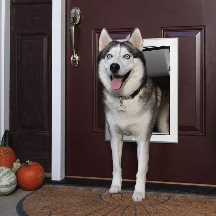 Metal shop dog flap